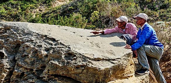 Ichnology with the Master Trackers