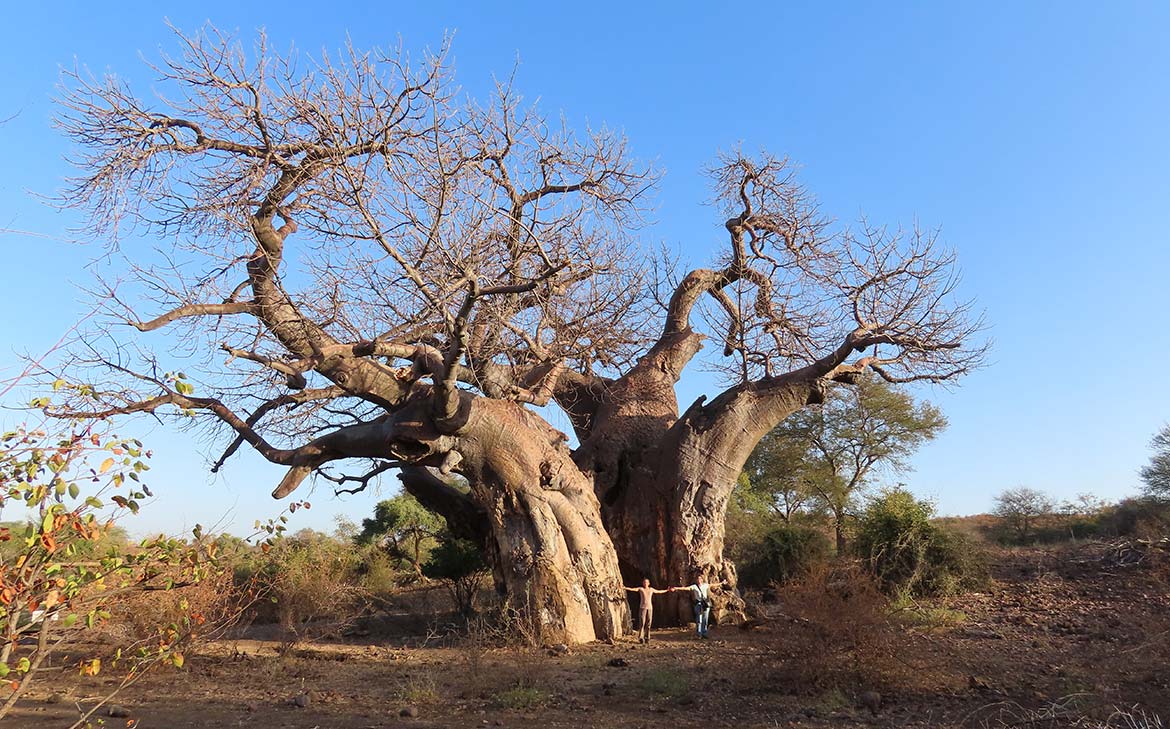 Discovery Wilderness Trust stories